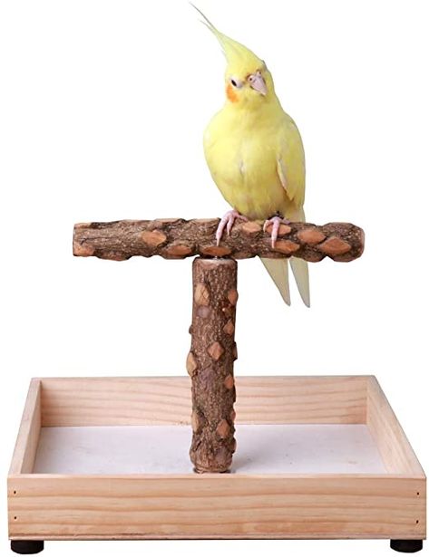 Parrot Play Stand, Cockatiel Toys, Diy Bird Toys, Parrot Stand, Bird Sitting, Modern Farmhouse Bathroom Rug, Grey Parrot, Bird Stand, Wood Bird