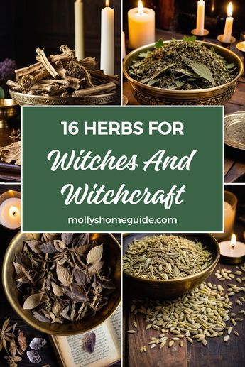 Witches Herbs And Uses, Herbs For Balance Witchcraft, Herb Meanings For Spells, Herbs For Protection Spell, Herbs For Letting Go Witchcraft, Cloves Witch Craft, Most Common Herbs Used In Witchcraft, Herb Spells Herbal Magic, Witches Herb Garden