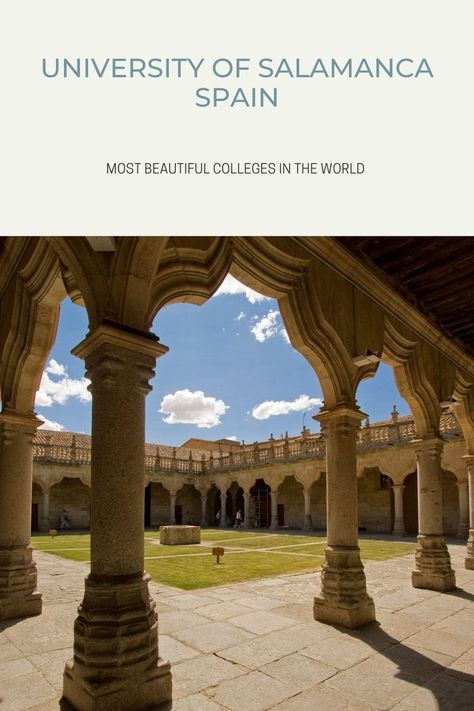 Most beautiful universities in the world. Most Beautiful Libraries, Beautiful Libraries, Salamanca Spain, La Mans, Beautiful Library, Baroque Architecture, Salamanca, Pergola, Most Beautiful