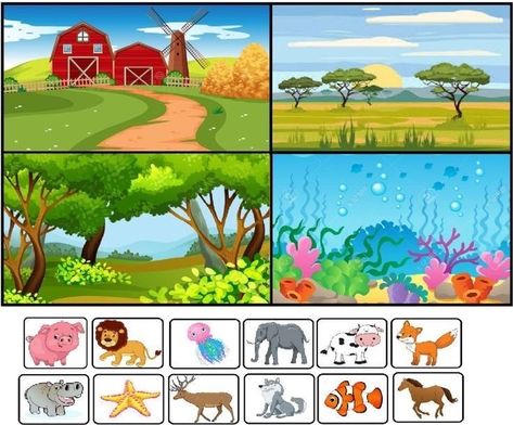 Where Do Animals Live Preschool, Animal Habitat Worksheet, Animals Activities For Kids, Animal Habitats Preschool, Where Animals Live, Animals And Habitats, Animals Habitat, Habitat Activities, Animals Worksheet