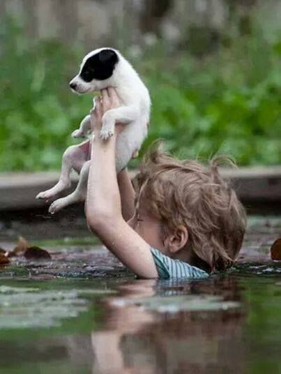 #Serbia #floods #2014 #help - Little kid saving his dog Angels Among Us, Love My Dog, Jolie Photo, 인물 사진, Faith In Humanity, Small Dog, Jack Russell, Mans Best Friend, Animals Friends