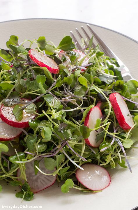 Microgreens Salad Recipe with Lime Vinaigrette Lime Vinaigrette Dressing, Microgreen Salad, Microgreens Salad, Pasta Salad Chicken, Homemade Buttermilk Ranch Dressing, Vegetable Quinoa Salad, Homemade Buttermilk Ranch, Simple Salad Recipes, Recipes Pasta Salad