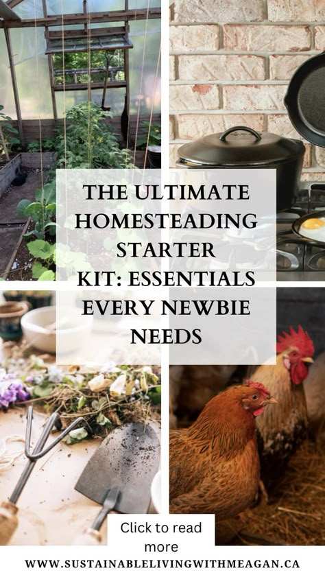 Are you ready to embark on your homesteading journey? Check out this ultimate starter list for new homesteaders. Make sure you have all the essential tools to begin your homestead whether gardening, baking, raising animals or preserving food the right tools get the job done safely. Read the post click the link to learn more #homesteading #homesteadingforbeginners #homesteadlife #howtohomestead #gardeningforbeginners #canningforbeginners #offthegrid Homestead Needs, Planning A Homestead, Homesteading Must Haves, Beginning Homesteading, Homestead Must Haves, Homesteading Skills To Learn, How To Start Homesteading, Homestead Checklist, Small Homestead Ideas