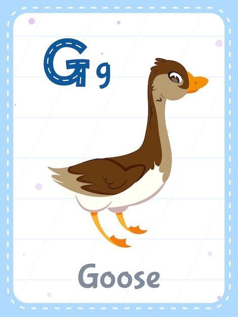 Corruption Poster, Cute Goose, Vector Alphabet, Vocabulary English, S Alphabet, Children Education, Alphabet Wall, Kids English, English Word