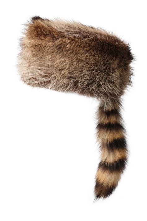 Raccoon Hat Aesthetic, Cool Hats Aesthetic, Davey Crockett, Raccoon Hat, Raccoon Tail, Ear Band, Rabbit Fur Hat, Piskel Art, Davy Crockett