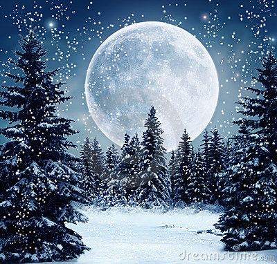 Wonderful view of a winter scene at night with full moon Forest Crafts, Winter Moon, Snowy Night, Winter Szenen, Snow Covered Trees, Snowy Forest, Moon Painting, Winter Painting, Cat Air