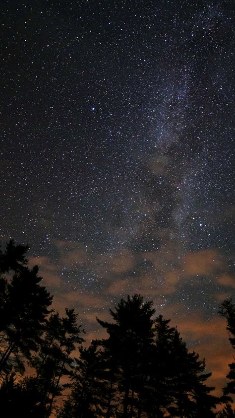 Dark Wood Wallpaper, Whats Wallpaper, Night Sky Photography, Christmas Wallpaper Backgrounds, Christmas Aesthetic Wallpaper, Night Sky Wallpaper, Sky Stars, Sky Full Of Stars, Sky Wallpaper