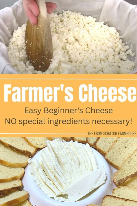 Quick and easy farmer's cheese in the cheese curd stage and then pressed into slices of cheese plated with some bread. Farmers Cheese Recipes, Family Milk Cow, Farmer’s Cheese, Cheese Recipes Homemade, Raw Cheese, Cheese Making Recipes, Farm Cheese, Goat Milk Recipes, Diy Cheese