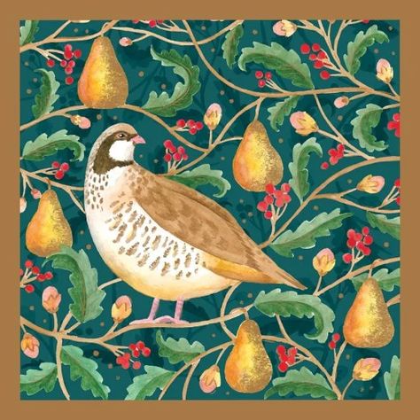 Cards 12 Days Of Christmas Illustration, Bug Woman, Pears Decor, 12 Days Of Xmas, Partridge In A Pear Tree, Sitting In A Tree, Days Before Christmas, Amnesty International, Pear Trees