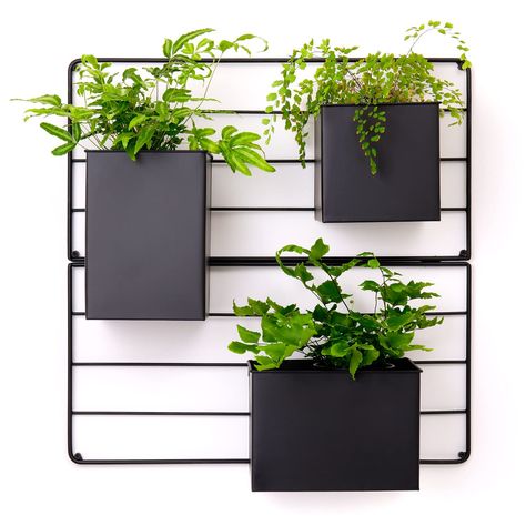 Herb garden wall