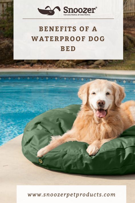 Durable Dog Bed, Waterproof Dog Bed, Outdoor Dog Bed, Washable Dog Bed, Water Bed, Dog Odor, Outdoor Beds, Pet Advice, Dog People