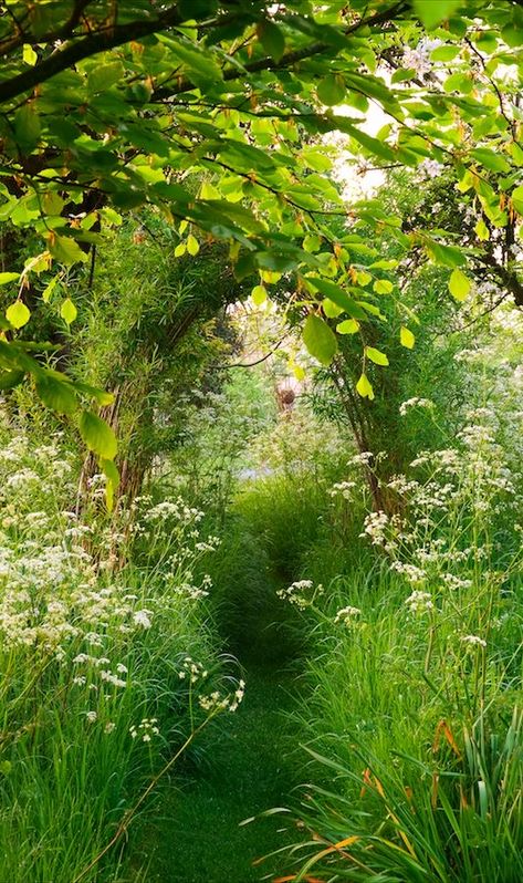 Country Garden Landscaping, Natures Path, French Country Garden, Permaculture Design, A Secret Garden, Landscape Inspiration, Garden Cottage, Garden Photos, The Secret Garden