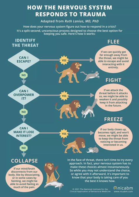 [Infographic] How the Nervous System Responds to Trauma - NICABM Nervus Vagus, Polyvagal Theory, Nervous System Regulation, Brain Facts, Limbic System, Mental Health Facts, Autonomic Nervous System, Therapeutic Activities, Art Therapy Activities