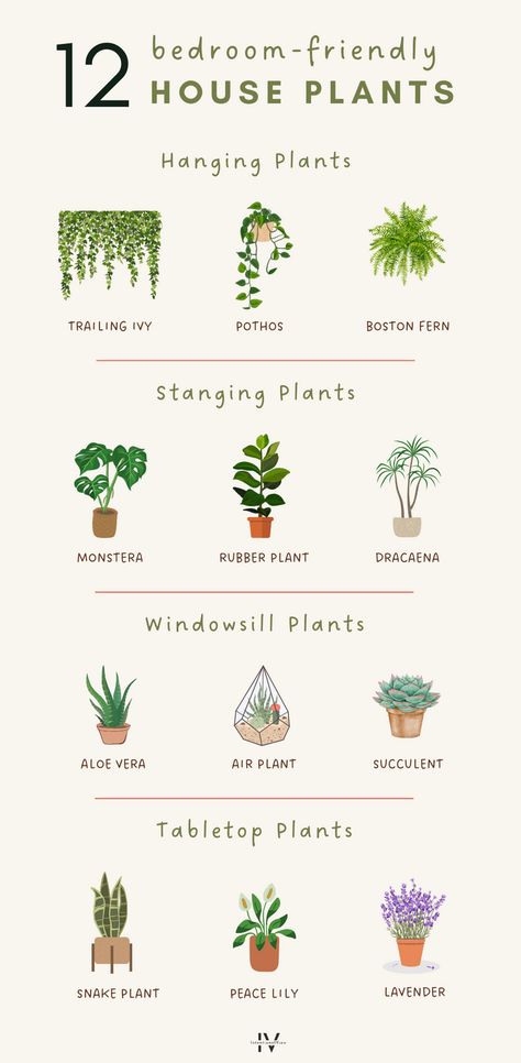 Plant Vibes Bedroom, Home Plant Aesthetic, Windowsill Plants Aesthetic, Best House Plants For Air Quality, Oxygen Plants Indoor, Plants For Bedroom Clean Air, Plant Mom Bedroom, Plant Room Aesthetic Bedroom, Non Toxic House Plants