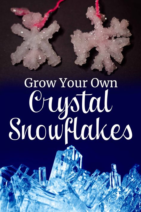 Growing crystal snowflakes is fun and a great science lesson! Picture of crystal snowflakes and a macro photo of crystals. Snowflakes Science, Grow Your Own Crystals, Pictures Of Crystals, Growing Crystals, Study Gift, Science Lesson, Salt Crystal, Winter Preschool, Crystal Snowflakes