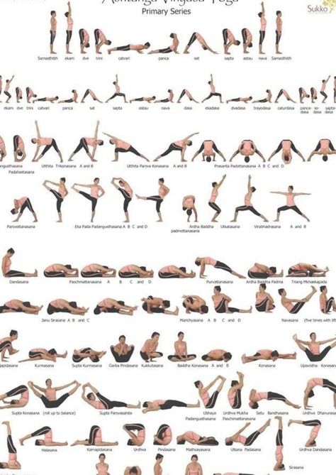 Vinyasa Yoga Poses, Ashtanga Yoga Primary Series, Vinyasa Yoga Sequence, Vinyasa Flow Yoga, Yoga Ashtanga, Ashtanga Vinyasa Yoga, Yoga Vinyasa, Insanity Workout, Best Cardio Workout