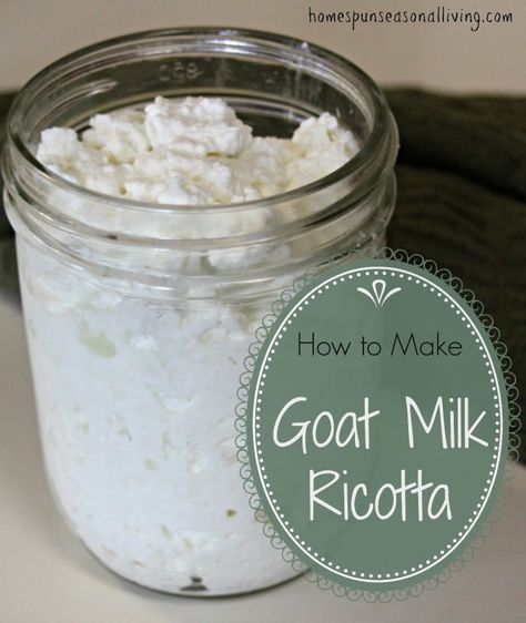 How to make goat milk ricotta at home. Things To Make With Goats Milk, How To Make Goat Cheese At Home, How To Make Goat Cheese, Goats Milk Cheese, Homestyle Cooking, Raw Dairy, Cheese Recipes Homemade, Cheese Making Recipes, Goat Milking