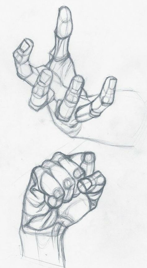 Drawings Of Hands, Hand References, Drawing Hands, Hand Drawing Reference, Human Anatomy Art, Anatomy Sketches, Hand Reference, Hands Holding, Drawing Faces