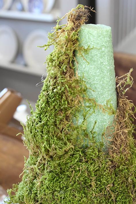 DIY Moss Topiaries - The Creek Line House Indoor Topiary, Diy Moss Ball, Christmas Tree Topiary, Topiary Decor, Home Decor Classic, Topiary Diy, Diy Moss, Moss Decor, Faux Moss