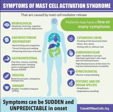 What is Mast Cell Activation Syndrome? - TICKED OFF MAST CELLS Ehlers Danlos Syndrome Hypermobility, Alpha Gal, Histamine Diet, Chest Discomfort, Mast Cell Activation, Quantum Healing, Dysautonomia Pots, Mast Cell Activation Syndrome, Low Histamine Diet