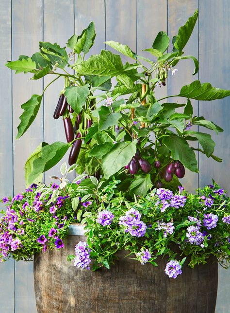 Container Vegetable Garden Ideas, Upside Down Plants, Container Vegetable Garden, Patio Container Gardening, Vegetable Garden Ideas, Vegetable Planters, Container Vegetables, Home Grown Vegetables, Garden Aesthetic