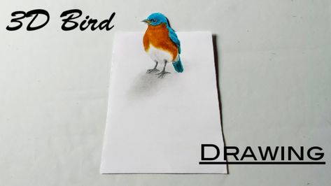 3D Bird Drawing || 3D Drawing || Colored Pencils Drawing Colored Pencils Drawing, How To Draw 3d, 3d Bird, Draw 3d, Bird Drawing, 3d Drawings, Bird Drawings, Color Pencil Drawing, Drawing Sketch