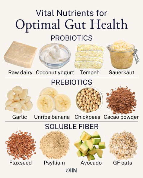 Get it, *gut* it, good. 🥄 Optimize your microbiome, get things moving (you know what we mean), and nourish your gut-brain axis with these 12 critical nutrients.  Want to learn all about how to master your gut health?   Click the link and download our FREE guide!   #prebiotic #probiotic #guthealth #gutbrainaxis #chickpeas #sauerkraut #tempeh #coconutyogurt #avocado #oats #flaxseed #fiber Gut Health Diet, Gut Health Recipes, Soluble Fiber, Gut Microbiome, Gut Healing, Fiber Foods, Healing Food, Health Recipes, Health Is Wealth