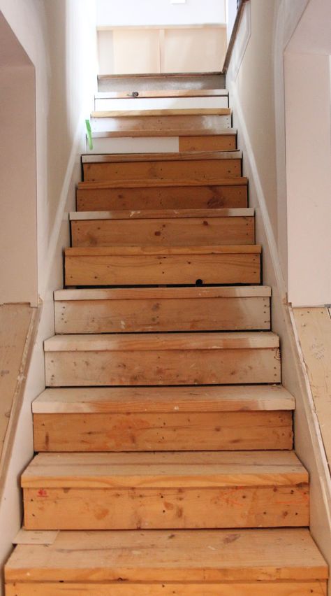 Stair Closet Ideas, House Interior Staircase, Under Stair Closet, Stair Caps, Stairs Interior Design, Removing Carpet From Stairs, Diy Basement Ideas, Stair Redo, House Entrance Hall