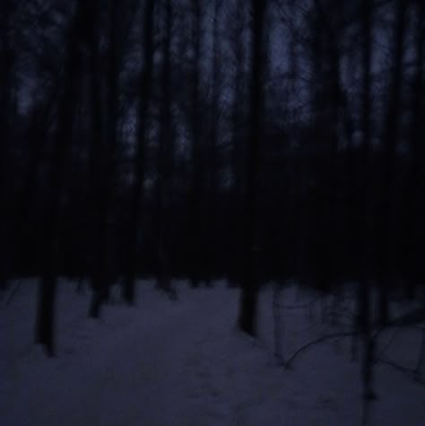 Dark Winter Aesthetic, Dark Snow, Dark Forest Aesthetic, Snow Night, Creepy Core, Snow Forest, Forest Background, Night Forest, Snowy Forest