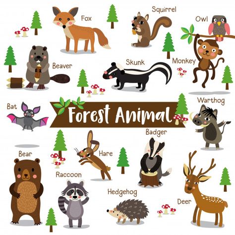 Animal Name, Logos Retro, Forest Habitat, Animal Habitats, Forest Animal, Animal Cartoon, Spring Activities, Toddler Learning Activities, Toddler Learning