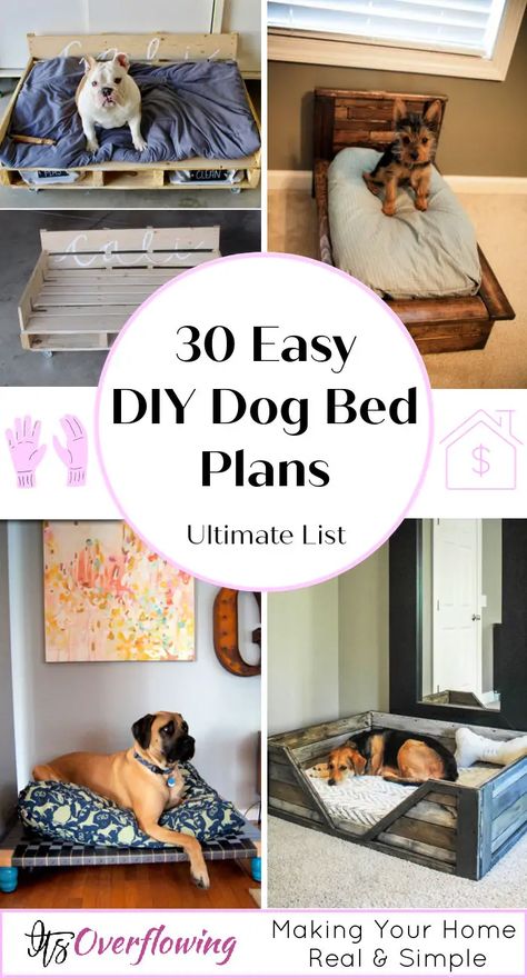 30 Easy DIY Dog Bed Plans To Make Your Own Dog Bed - Dog Bed Ideas Diy Pvc Dog Bed, Dog Bed Plans, Diy Raised Dog Bed, Dog Bedroom Ideas, Diy Dog Door, Diy Elevated Dog Bed, Pvc Dog Bed, Make A Dog Bed, Easy Dog Bed