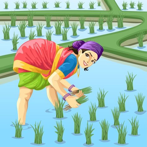 Tamil woman farmer working in paddy fiel... | Premium Vector #Freepik #vector #landscape #rice #indian #organic Farmer Working, Agriculture Pictures, Tamil Images, Woman Farmer, Farmer Painting, Paddy Field, Farmer Girl, Female Farmer, Indian Illustration