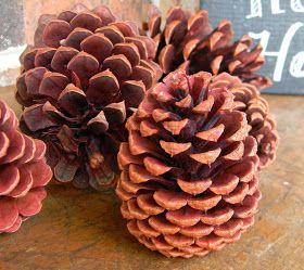 Artistic Endeavors 101: Dyeing Pine Cones with RIT Dye Coloring Pine Cones With Food Coloring, Cinnamon Pinecones, Wreath Centerpieces, Cork Christmas Tree, Red Food Dye, Wine Cork Christmas, Pinecone Art, Pinecone Flowers, Wine Cork Christmas Tree