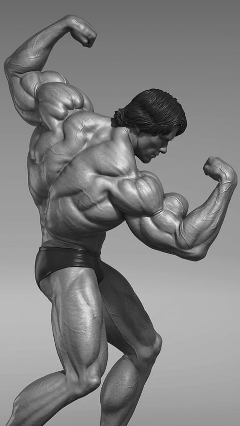 ArtStation - Arnold Schwarzenegger - Collectible, Bernardo Cruzeiro Arnold Pose, Arnold Body, Arnold Schwarzenegger Gym, Arnold Schwarzenegger Muscle, Arnold Images, Arnold Bodybuilding, Arnold Photos, Bodybuilding Routines, Arnold Schwarzenegger Bodybuilding