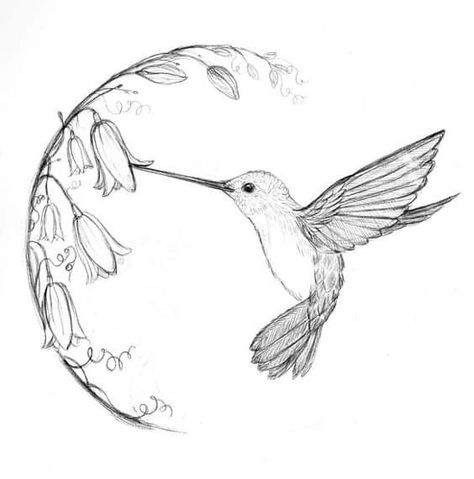 Hummingbird Sketch, Hummingbird Tattoos, Hummingbird Drawing, Vogel Tattoo, Small Bird Tattoo, Easy Animal Drawings, Bird Sketch, Trendy Tattoo, Hummingbird Tattoo