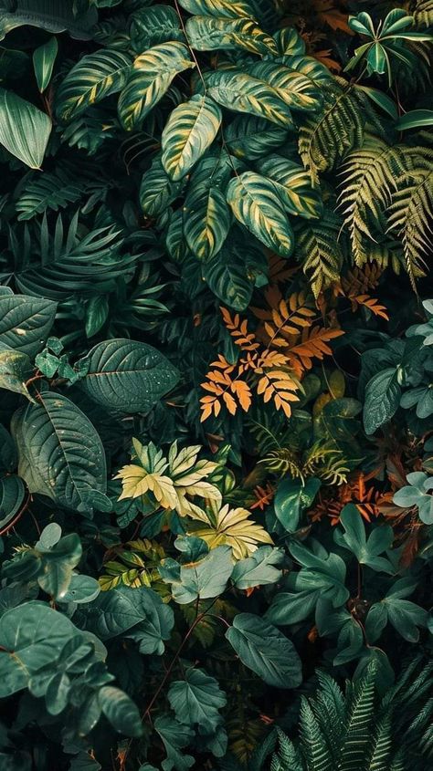 Real Plant Wallpaper, Plant Wallpapers For Iphone, Plant Asthetic Wallpers, Plant Phone Background, Plant Background Wallpapers, Plant Art Wallpaper, Leaves Wallpaper Aesthetic, Plant Background Aesthetic, Botanical Wallpaper Iphone