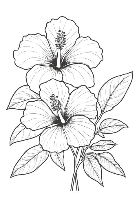 Premium Photo | A drawing of a hibiscus flower with leaves coloring book illustration Hibiscus Drawing, Leaves Coloring, Flower With Leaves, Flower Art Drawing, Flower Sketches, Leaf Drawing, Leaf Coloring, Hibiscus Flower, Coloring Book Art