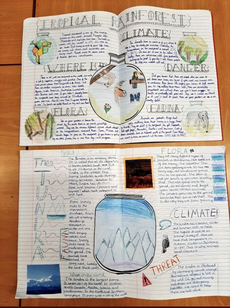 Non Chronological Report, Year 6 English, Non Chronological Reports, Talk 4 Writing, Rainforest Activities, Geography Classroom, Teaching Displays, Double Page Spread, English Ideas