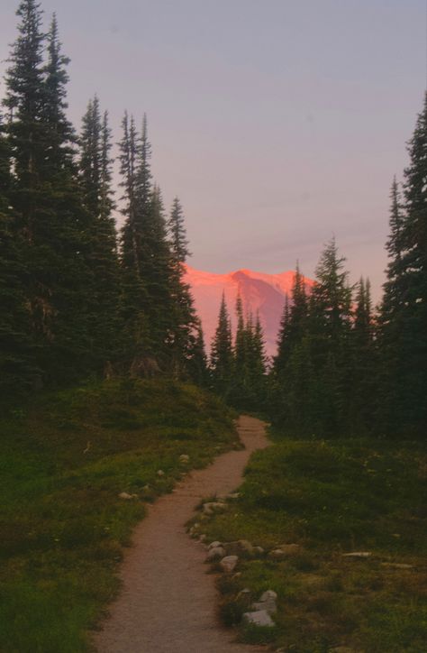 #pnw #hike Cozy Pnw Aesthetic, Pacific Northwest Photography, Sunrise Hike Aesthetic, Adventure Astethic, Pnw Summer Aesthetic, Pacific Northwest Wallpaper, Kaylee Core Aesthetic, Pnw Core, Pnw Scenery