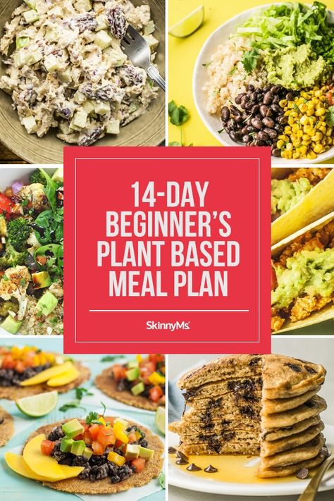 The Ultimate 14-Day Beginner’s Plant-Based Meal Plan with Shopping List Vegan Weight Watchers, Meal Plan With Shopping List, Bland Diet Recipes, Plant Based Diet Meals, Plant Based Meal, Plant Based Diet Meal Plan, Plant Based Meal Planning, Clean Eating Lifestyle, Plant Based Diet Recipes