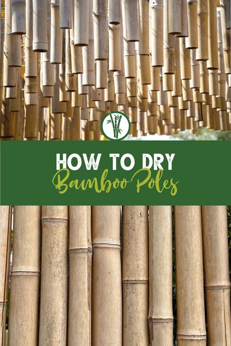 Drying bamboo stems hanging and standing with the text: How To Dry Bamboo Poles Bamboo Diy Projects, Bamboo Furniture Outdoor, Bamboo Art Diy, Bamboo Arbor, Bamboo Garden Fences, Bamboo Projects, Diy Bamboo, Bamboo Ideas, Growing Bamboo