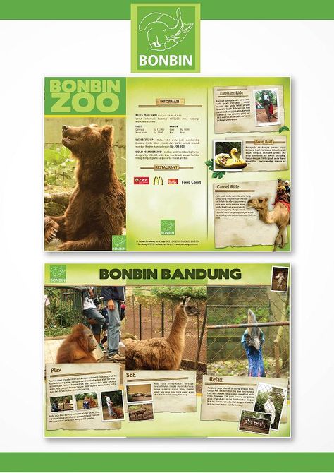 Zoo Brochure Design, Zoo Flyer, Zoo Brochure, Zoo Marketing, Sock Display, Brochure Folds, Brochure Format, Elephant Park, Zoo Project