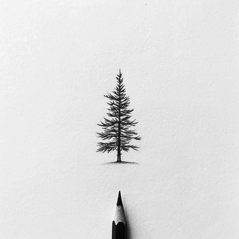 Pine Tattoo Design, Wa State Tattoo, Tree And Birds Tattoo, Fine Line Pine Tree Tattoo, Simple Pine Tree Tattoo, Tree Tattoo Sketch, Nature Drawing Simple, Fine Line Tree Tattoo, Nerve Tattoo