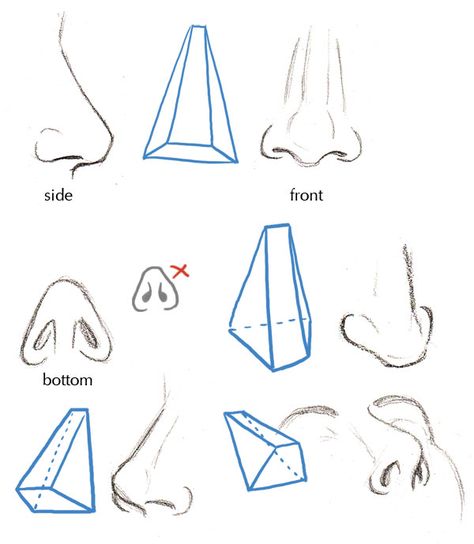 Types Of Nose, Menswear Design, رسم كاريكاتير, 얼굴 드로잉, Nose Drawing, Human Anatomy Drawing, Human Figure Drawing, Human Anatomy Art, Human Drawing