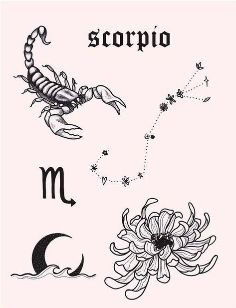 Scorpion Star Sign Tattoo, Scorpion Scorpio Tattoo, Scorpio Flash Tattoo, Scorpio Tattoo Zodiac Feminine, Scorpio Butterfly Tattoo, Scorpio Tattoo Aesthetic, Scorpio Spine Tattoo, Zodiac Scorpio Tattoo, Scorpio Flower Tattoo