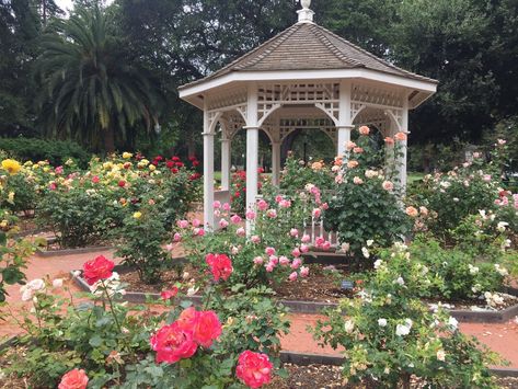 Things to do in San Mateo, California — Kessler Elsewhere San Mateo California, White Gazebo, California Travel Guide, Japanese Tea House, Japanese Tea Garden, Tree Day, City Engagement Photos, Mammoth Lakes, City Engagement