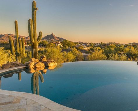 Our Projects | Premier Paradise Inc. Small Modern Lounge, Arizona Pools, Fountain Hills Arizona, Back Yard Oasis, Arizona Aesthetic, Lounge Pool, Yard Oasis, Arizona Backyard, Custom Swimming Pool