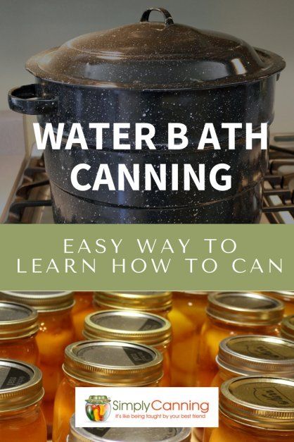 Hot Water Bath Canning, Canning Water, Water Bath Canning Recipes, Diy Canning, Easy Canning, Canned Pears, Canning 101, Canning Fruit, Canning Pickles