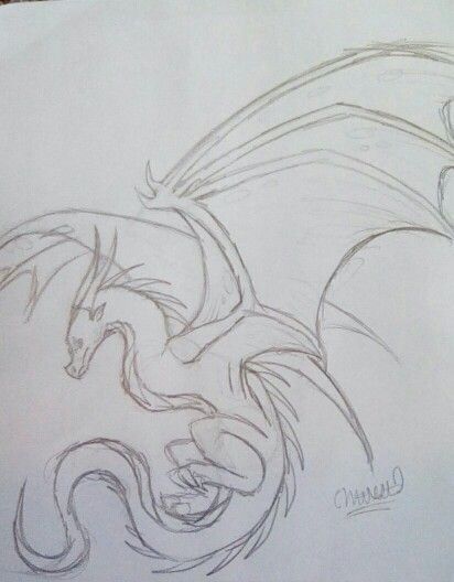 Fantasy Animal Drawing Ideas, Roaring Dragon Drawing, Dragon Profile Drawing, Coatyl Dragon Drawing, Drawing Of Dragons, Drawings Of Dragons Easy, Two Headed Dragon Drawing, Dragon Drawing Wings, Dragon Drawing Inspiration