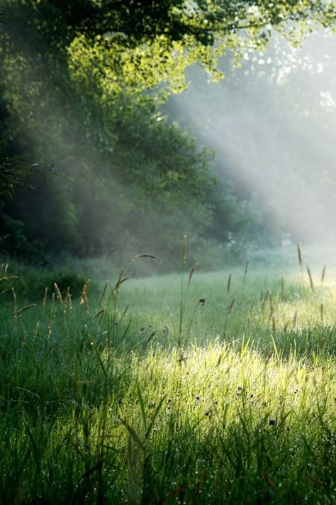 Feb 7, 2020 - This Pin was discovered by вот она пошла нежнятинка. Discover (and save!) your own Pins on Pinterest. Baguio, The Mist, Nature Aesthetic, Pretty Places, Green Grass, Narnia, Green Aesthetic, Country Life, The Field